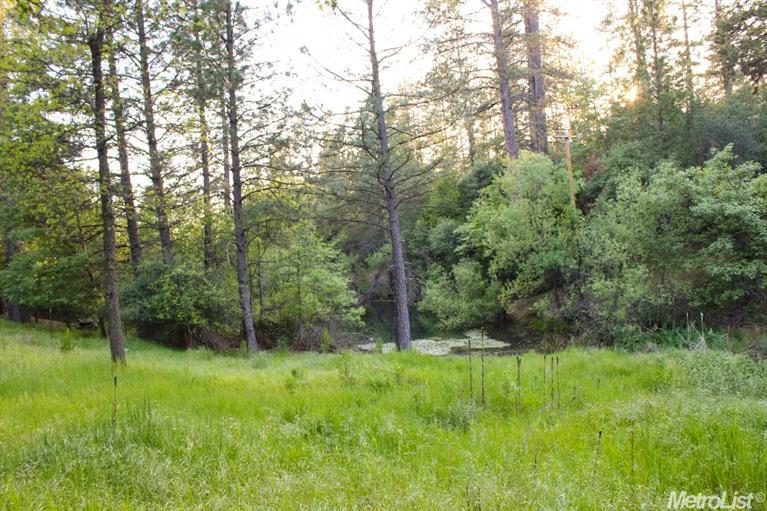 2271 Olympia Ln, Placerville, CA 95667 photo 19