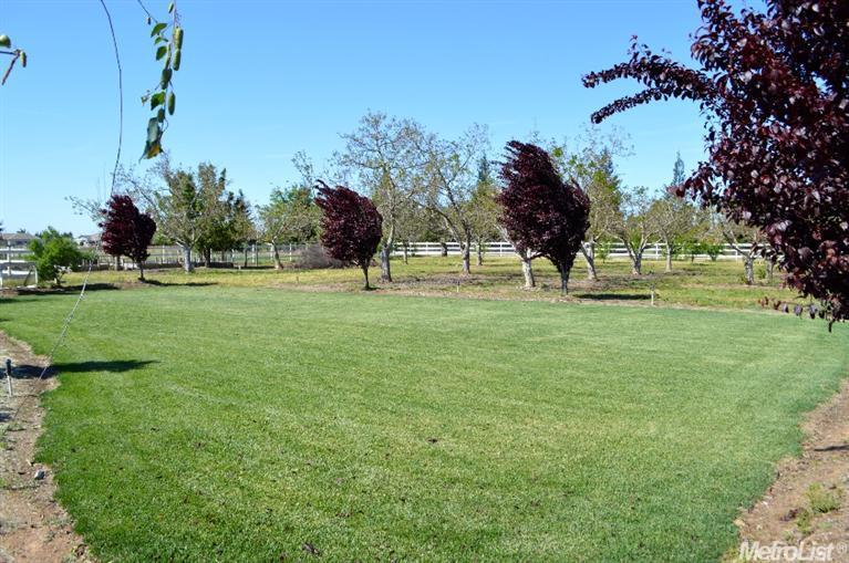 23697 Griffith Gate Ln, Acampo, CA 95220 photo 25