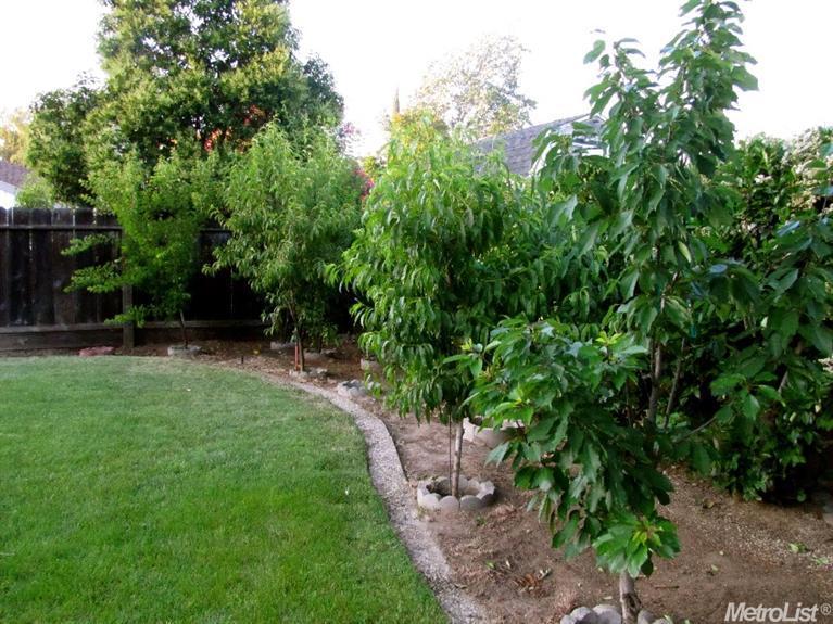 3500 Northampton Ln, Modesto, CA 95356 photo 23