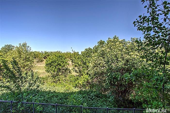1818 Moore Blvd #246, Davis, CA 95618 photo 25