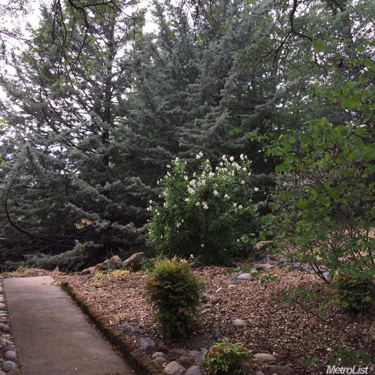 5020 La Mesa, Placerville, CA 95667 photo 19