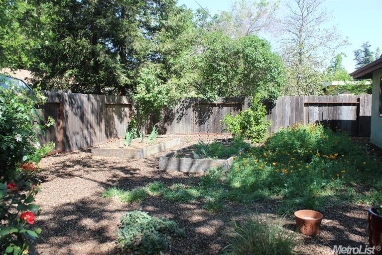 1101 Chestnut Ln, Davis, CA 95616 photo 21