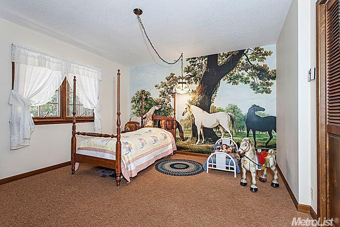 5666 Acorn Valley Rd, Georgetown, CA 95634 photo 24