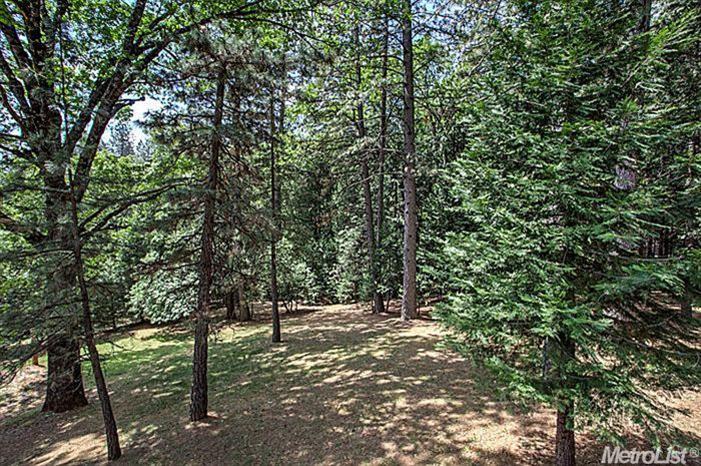 5666 Acorn Valley Rd, Georgetown, CA 95634 photo 9
