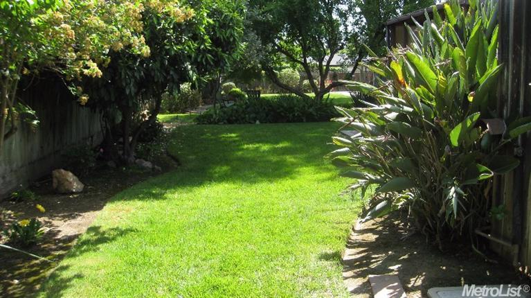 600 Virginia Ave, Lodi, CA 95242 photo 14