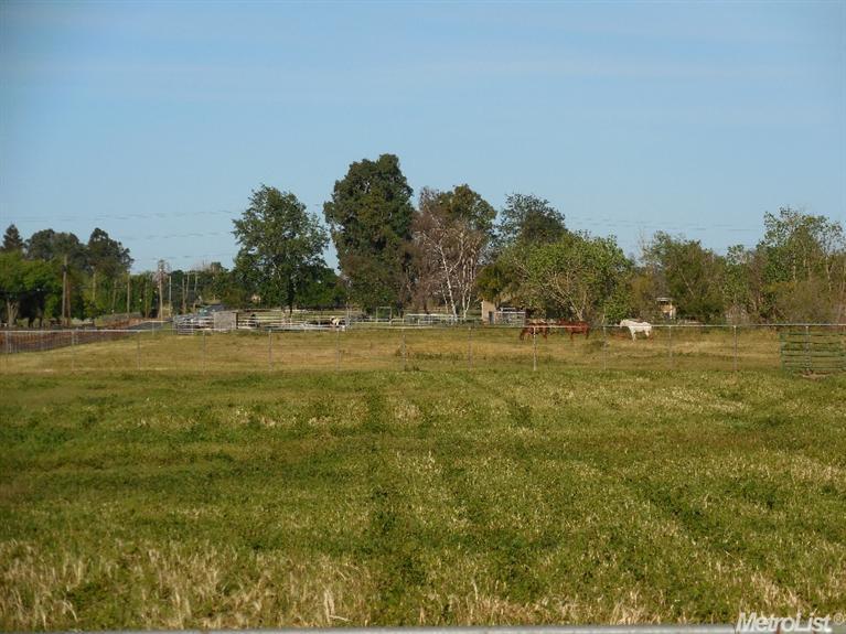25575 Jack Tone Rd, Galt, CA 95632 photo 4