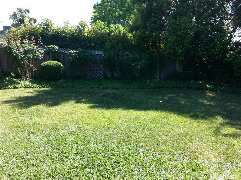 86 Rossi Dr, Galt, CA 95632 photo 21