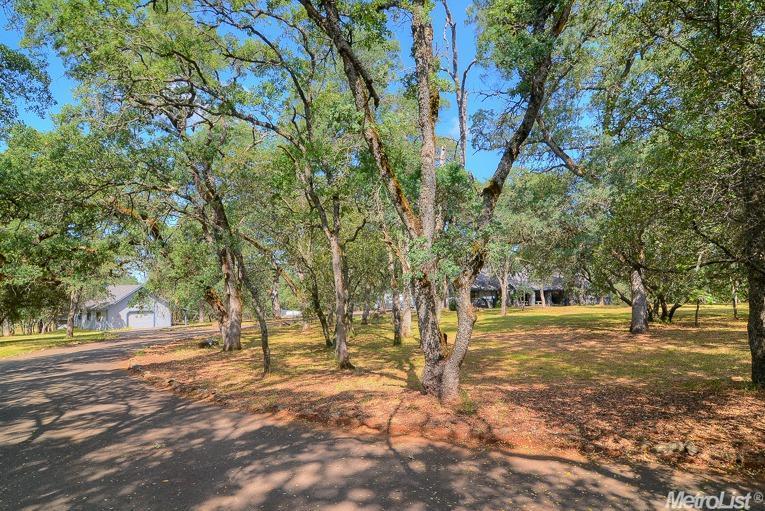 1776 Dormity Rd, Rescue, CA 95672 photo 2