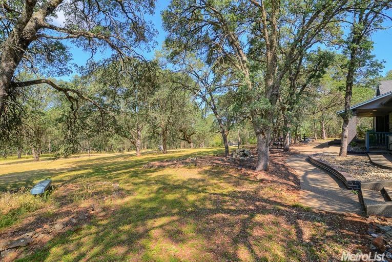 1776 Dormity Rd, Rescue, CA 95672 photo 14