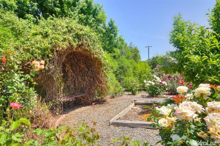 10031 Collings Rd, Wilton, CA 95693 photo 19
