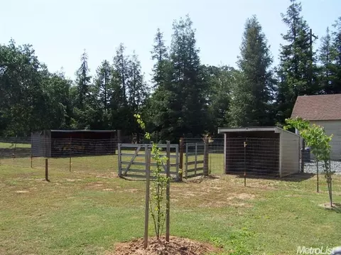 8677 Berry Rd, Wilton, CA 95693 photo 23