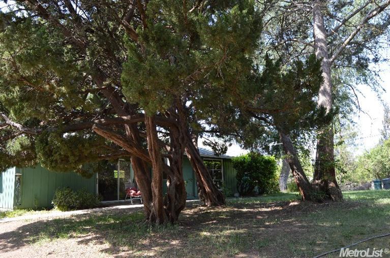 8948 Cherry Ave, Orangevale, CA 95662 photo 4
