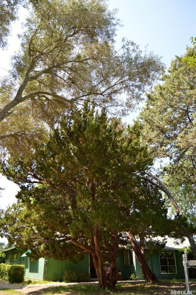 8948 Cherry Ave, Orangevale, CA 95662 photo 22