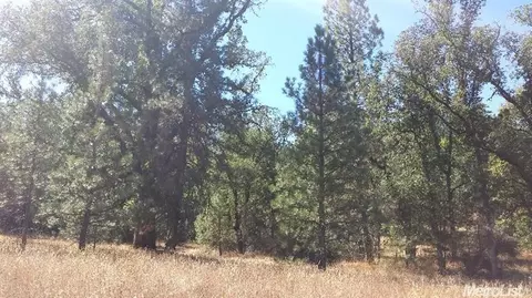 20550 Smith Rd, Mountain Ranch, CA 95246 photo 4