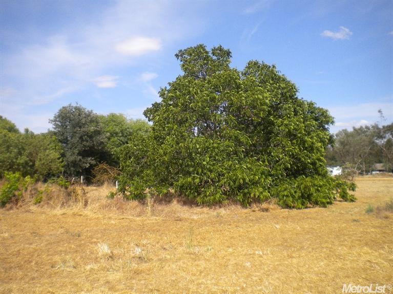14155 Ganzer Rd, Galt, CA 95632 photo 7