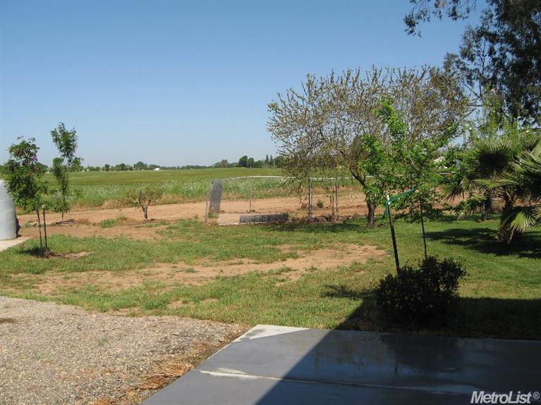 12688 Fig Rd, Wilton, CA 95693 photo 14