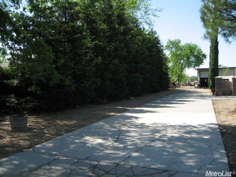 12688 Fig Rd, Wilton, CA 95693 photo 12