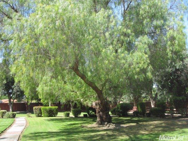 1105 Freedom Ct, Tracy, CA 95376 photo 14