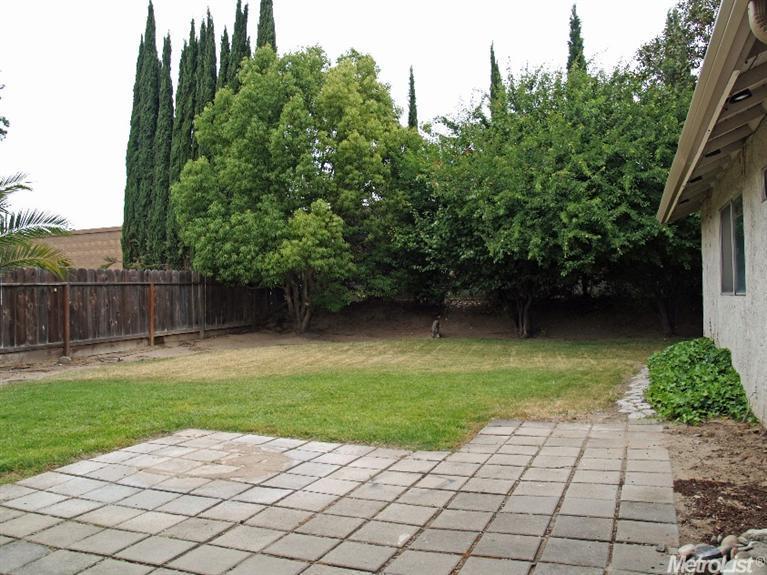 667 Ward Way, Manteca, CA 95336 photo 10