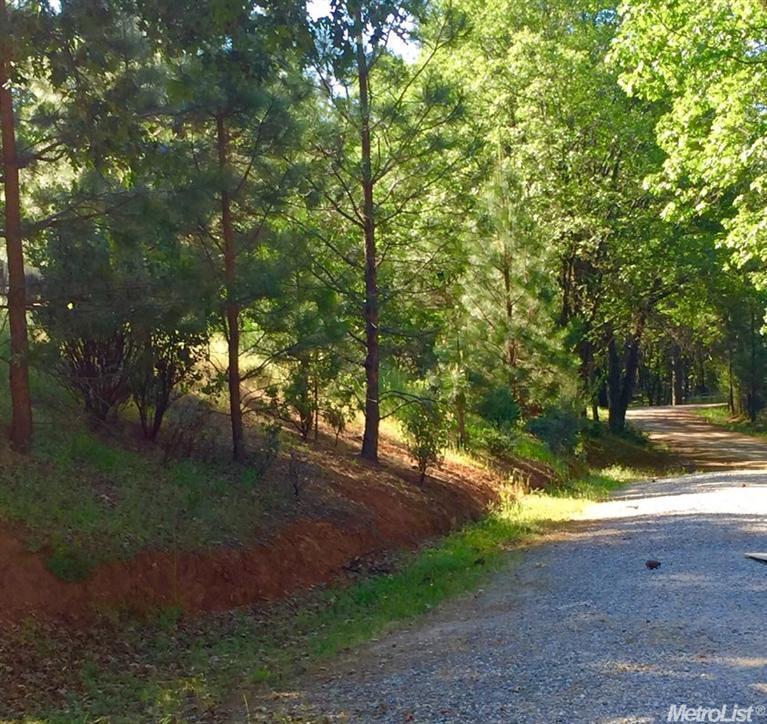 4931 Bush Tail Rd, Placerville, CA 95667 photo 15