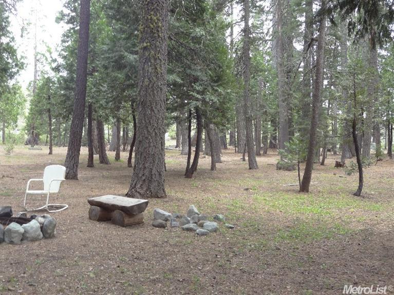 476 N Fork Pl, Emigrant Gap, CA 95715 photo 9