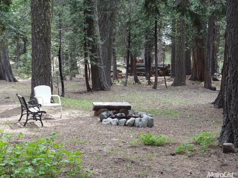 476 N Fork Pl, Emigrant Gap, CA 95715 photo 21