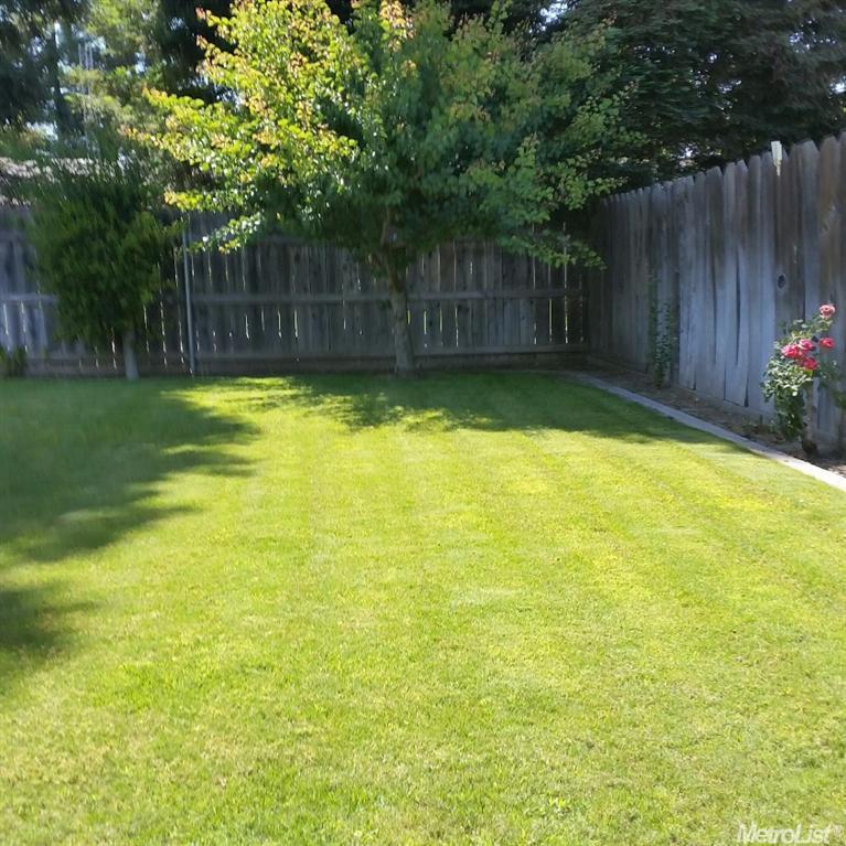 225 S Wilma Ave, Ripon, CA 95366 photo 14