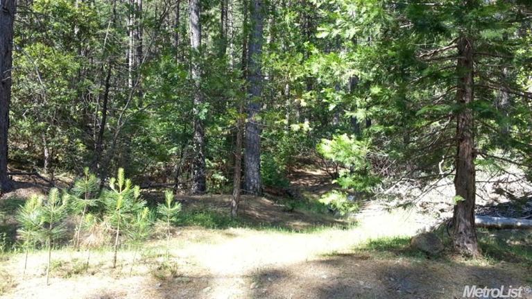 4460 Fairglade Rd, Placerville, CA 95667 photo 22
