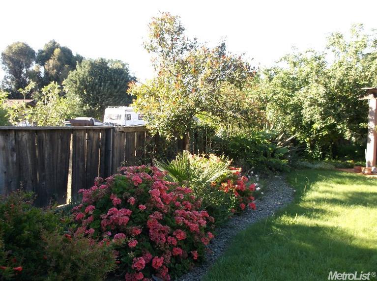 508 Hammon Ct, Patterson, CA 95363 photo 5