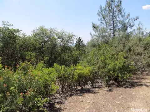 13513 Shake Ridge Rd, Sutter Creek, CA 95685 photo 8