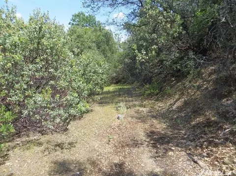 13513 Shake Ridge Rd, Sutter Creek, CA 95685 photo 11