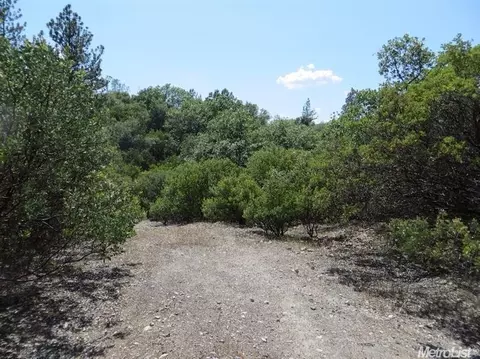 13513 Shake Ridge Rd, Sutter Creek, CA 95685 photo 24