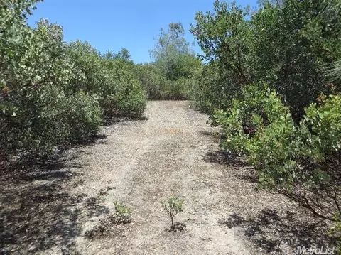 13513 Shake Ridge Rd, Sutter Creek, CA 95685 photo 13