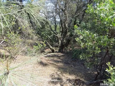 13513 Shake Ridge Rd, Sutter Creek, CA 95685 photo 12