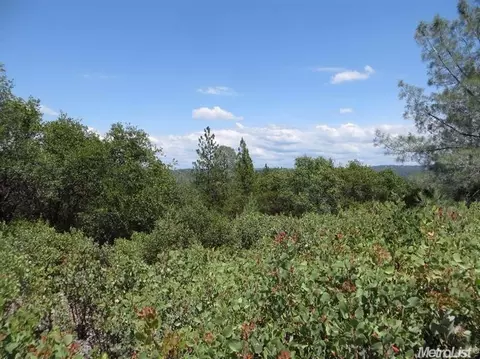 13513 Shake Ridge Rd, Sutter Creek, CA 95685 photo 10