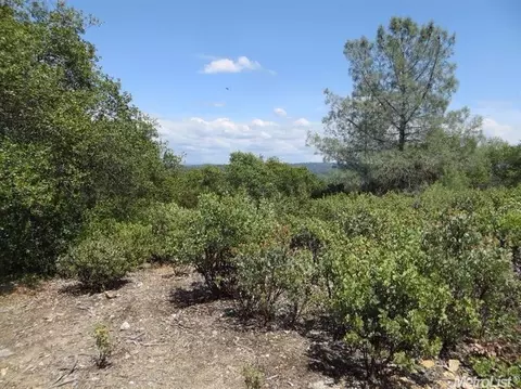 13513 Shake Ridge Rd, Sutter Creek, CA 95685 photo 7