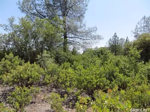 13513 Shake Ridge Rd, Sutter Creek, CA 95685 photo 19
