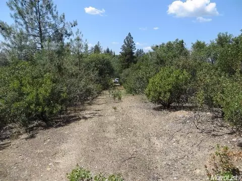13513 Shake Ridge Rd, Sutter Creek, CA 95685 photo 9