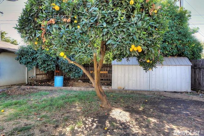 1406 Locke Rd, Modesto, CA 95355 photo 24