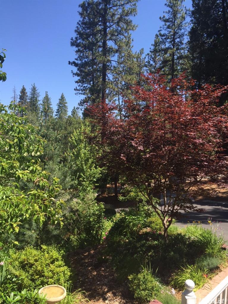 899 Taylor Ln, Colfax, CA 95713 photo 25