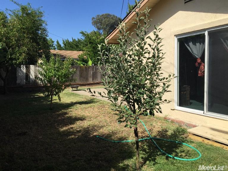 600 Lenore Dr, Modesto, CA 95351 photo 10