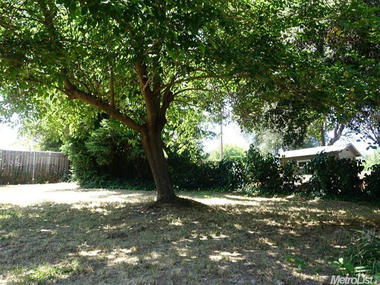 7307 Walnut Ave, Orangevale, CA 95662 photo 25