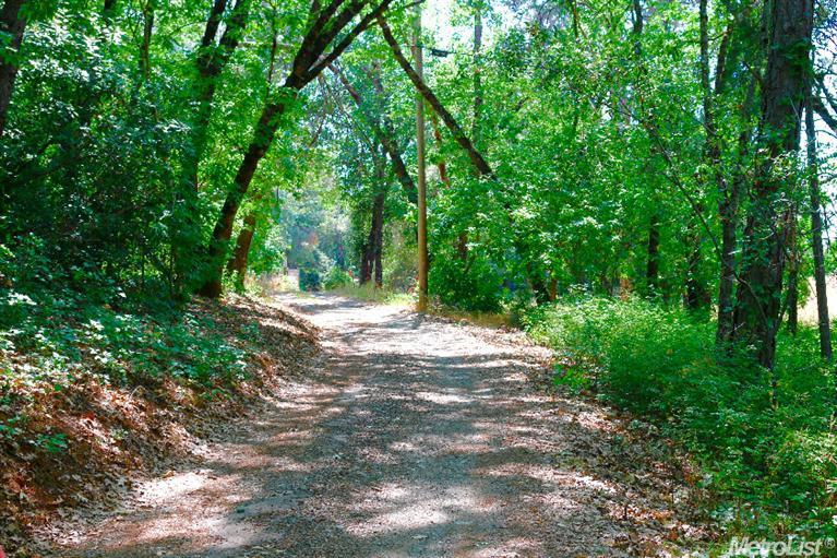 4500 Greenstone Rd, Placerville, CA 95667 photo 10