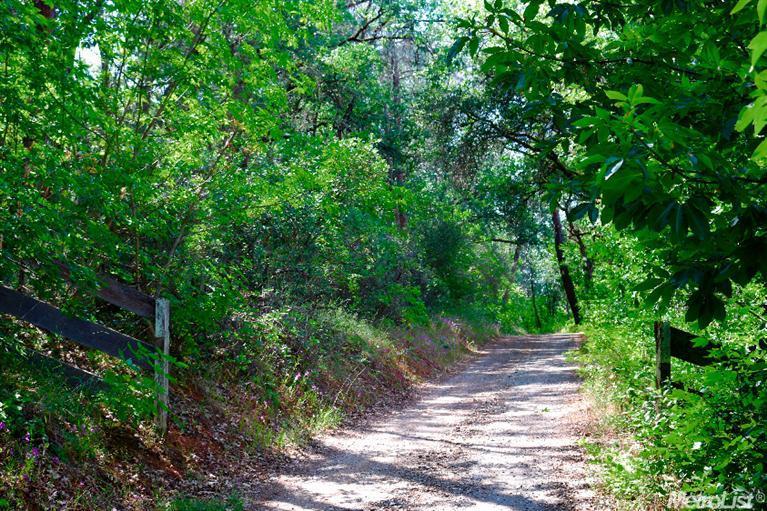 4500 Greenstone Rd, Placerville, CA 95667 photo 13