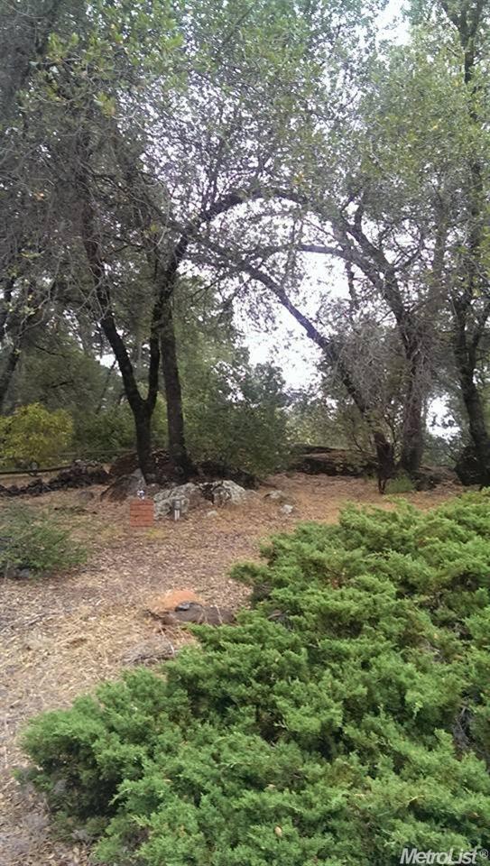 4001 Bright Ct, Placerville, CA 95667 photo 8