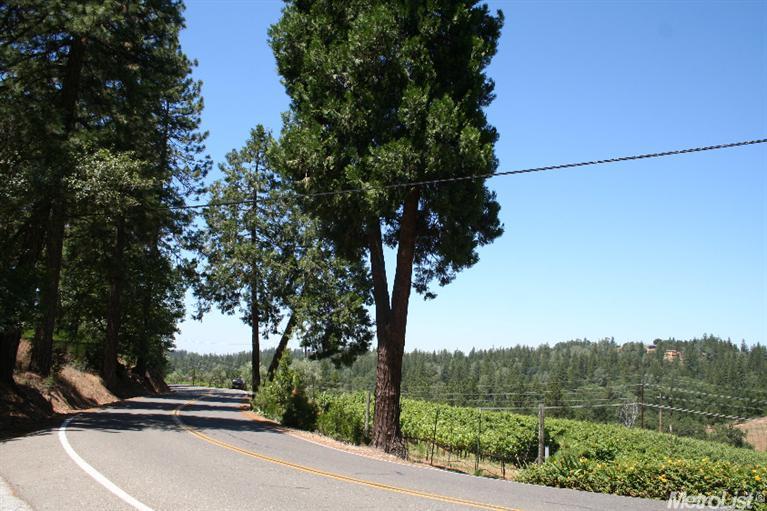 1638 Carson Rd, Placerville, CA 95667 photo 23