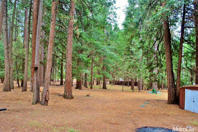 25370 Shake Ridge Rd, Volcano, CA 95689 photo 23