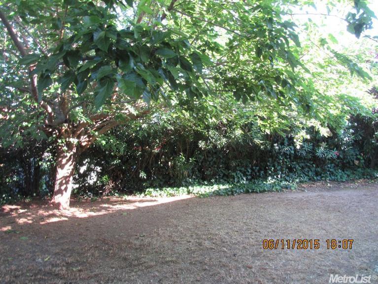 195 S Mcdaniel Dr, Auburn, CA 95603 photo 19