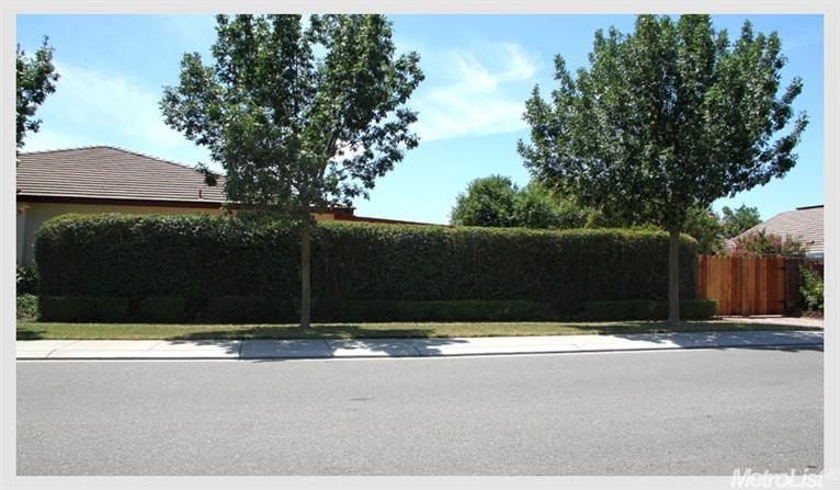 3429 Summer Dr, Modesto, CA 95355 photo 21