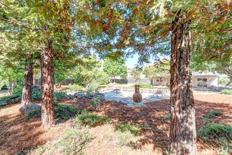 10980 Woodring Dr, Mather, CA 95655 photo 16